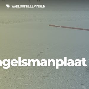 2025 - Wadlopen - Engelsmanplaat (leden)