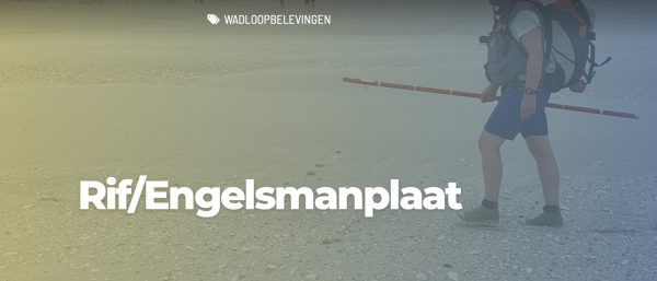 2025 - Wadlopen - Engelsmanplaat (niet-leden)