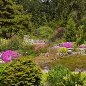 2026 Botanische tuin (leden)
